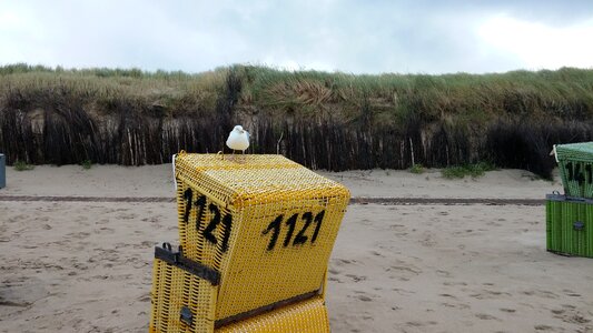 Seagull north sea beach chair