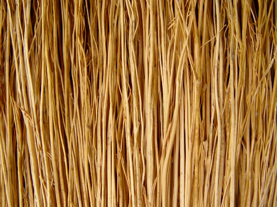 Macro background texture