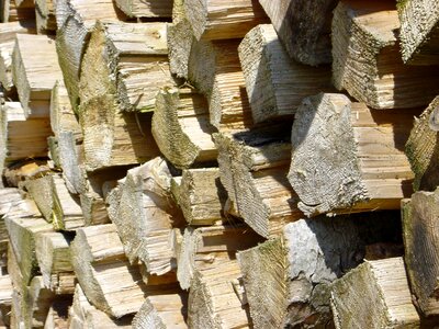 Wood piece macro garden