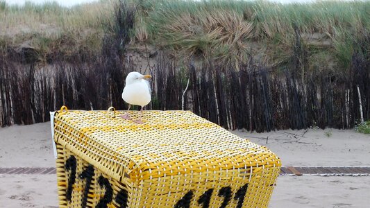 Seagull north sea beach chair