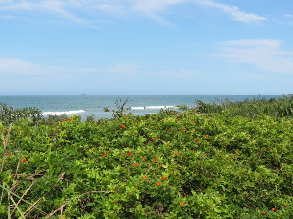 Beach nature mar