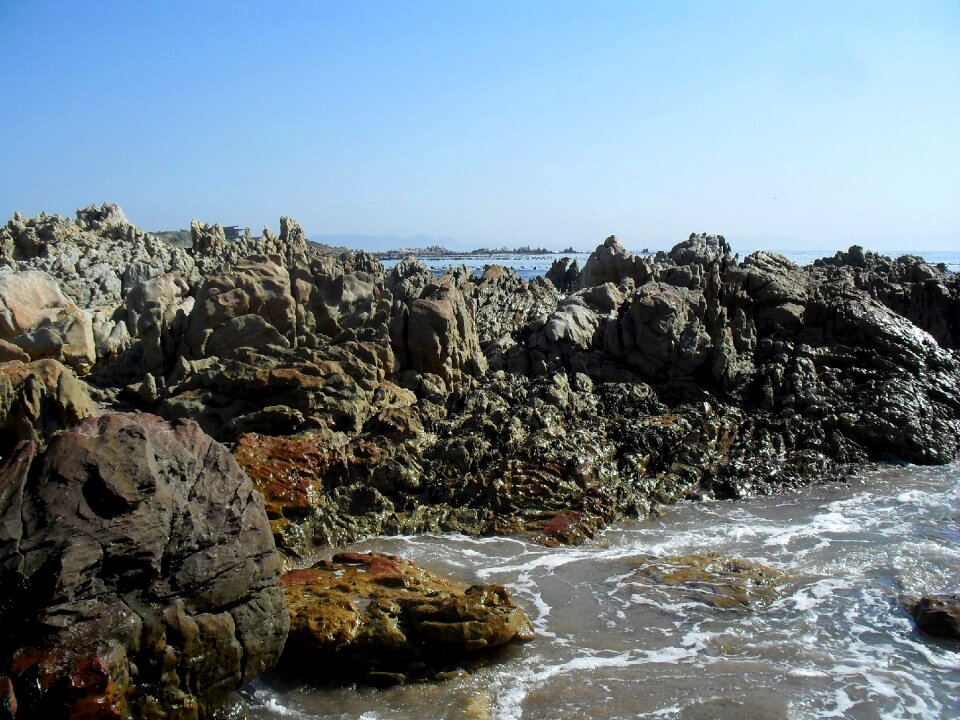 Marine rocky south africa
