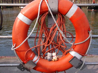 Stuffed animal orange water photo