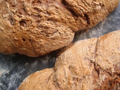 Bake bread crust farmer's bread