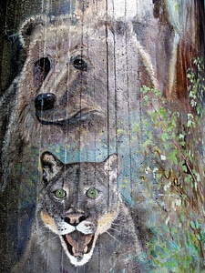 Bear cougar bridge of the god