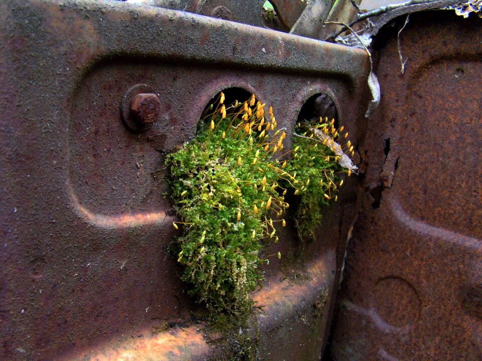 Automotive shredder residue abandoned old