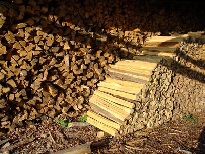 Growing stock log timber industry photo