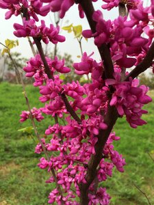 Bright fresh natural