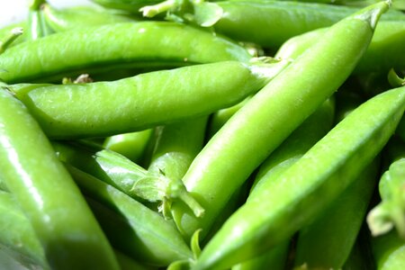 Peas autumn harvest pea