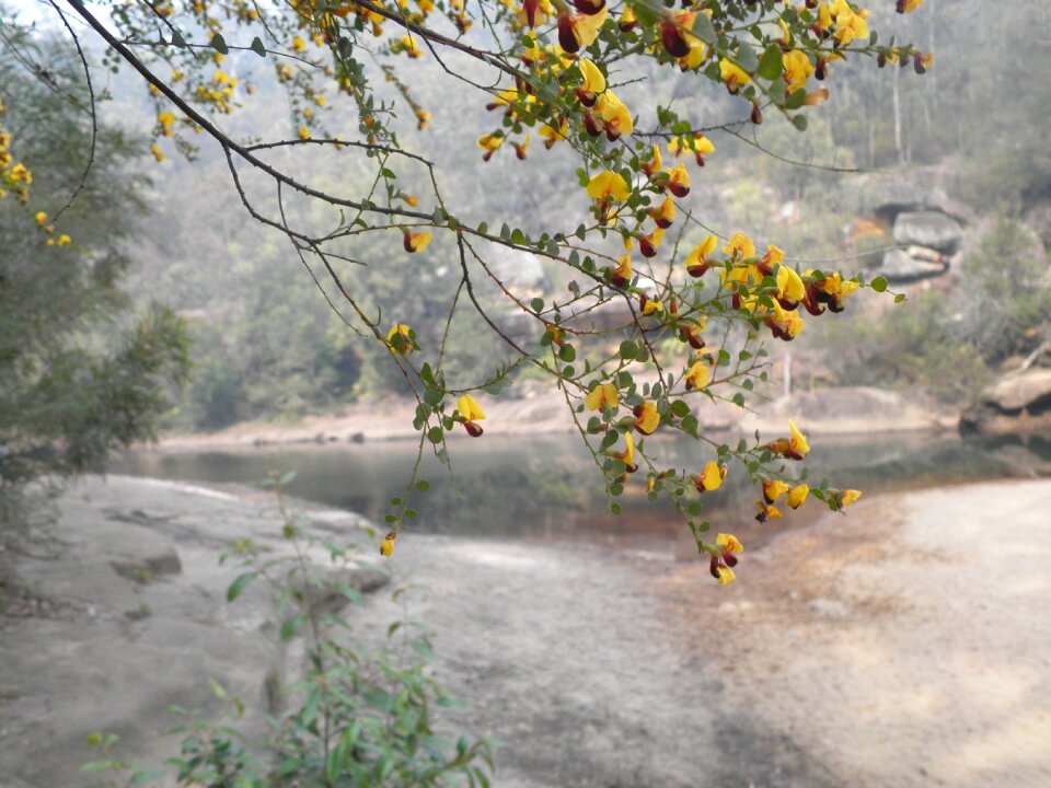 Landscape natural nature