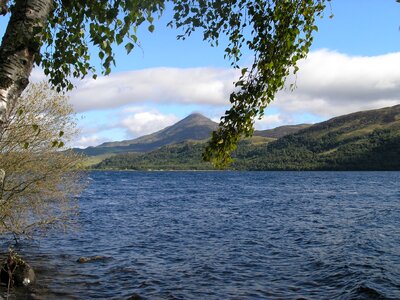 Trees scenic highland photo