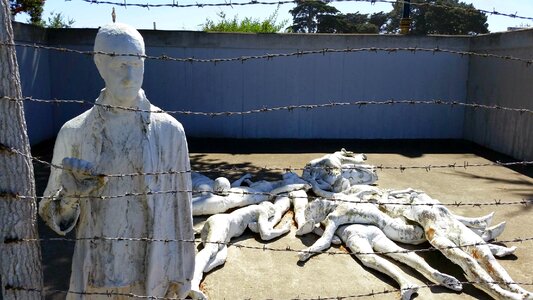 Holocaust san francisco lands end trail photo