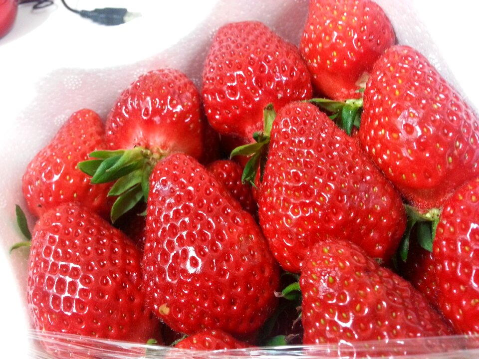 Fruit red spring