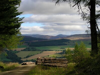 Trees scenic highland