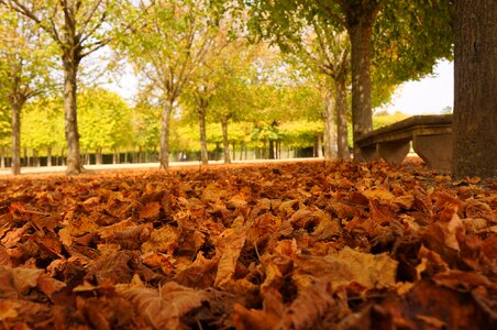 France palace of versailles garden photo