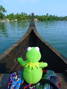 Backwaters frog kermit photo