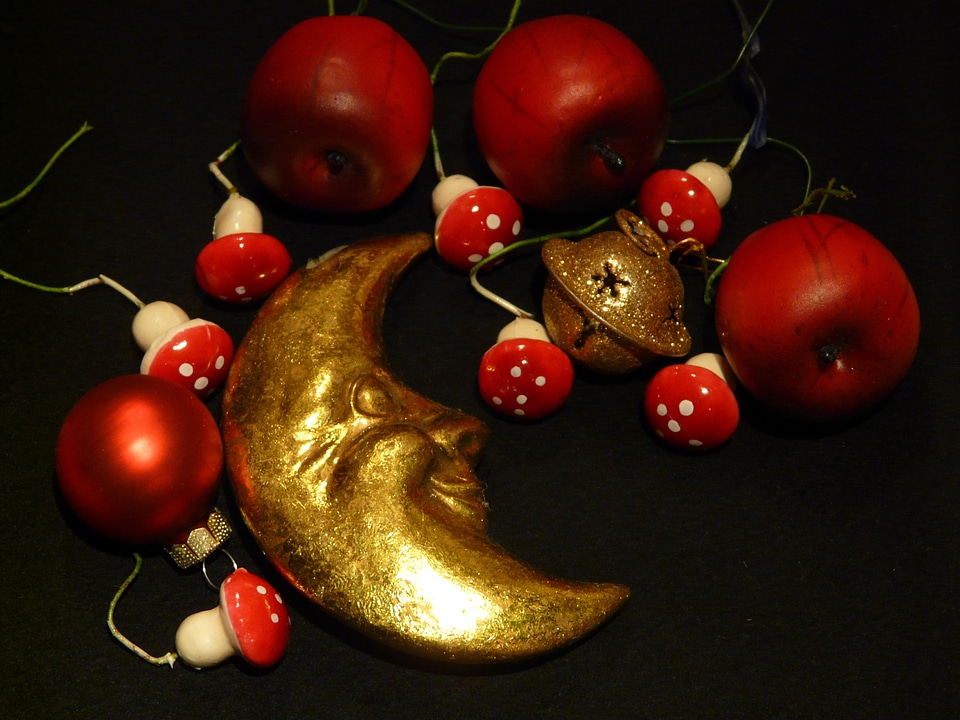 Mushrooms christmas decoration christmas