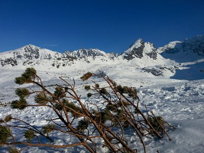 Mountains tatry winter photo