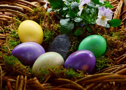 Easter nest painted colorful photo