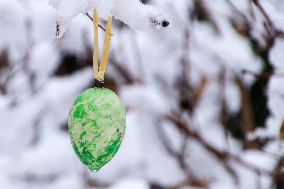 Snow colorful eggs easter decorations