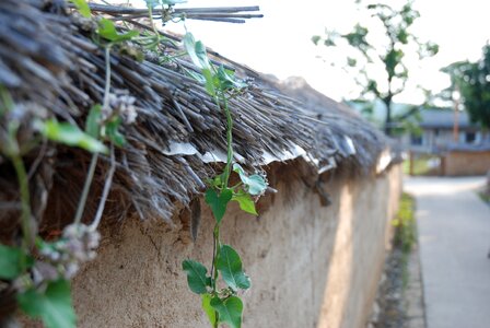 Old school thatched roof traditional