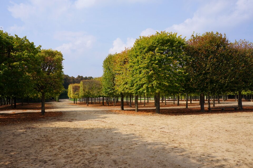 Château de versailles palace of versailles garden