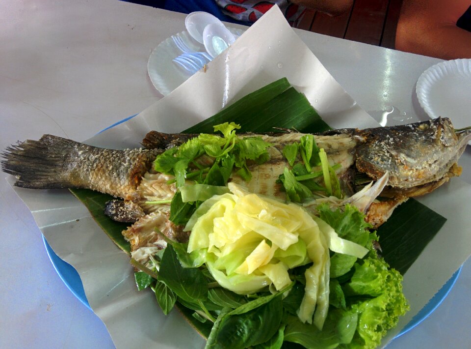 Fish eat vegetables