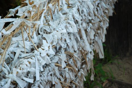 Xitang wish korean traditional