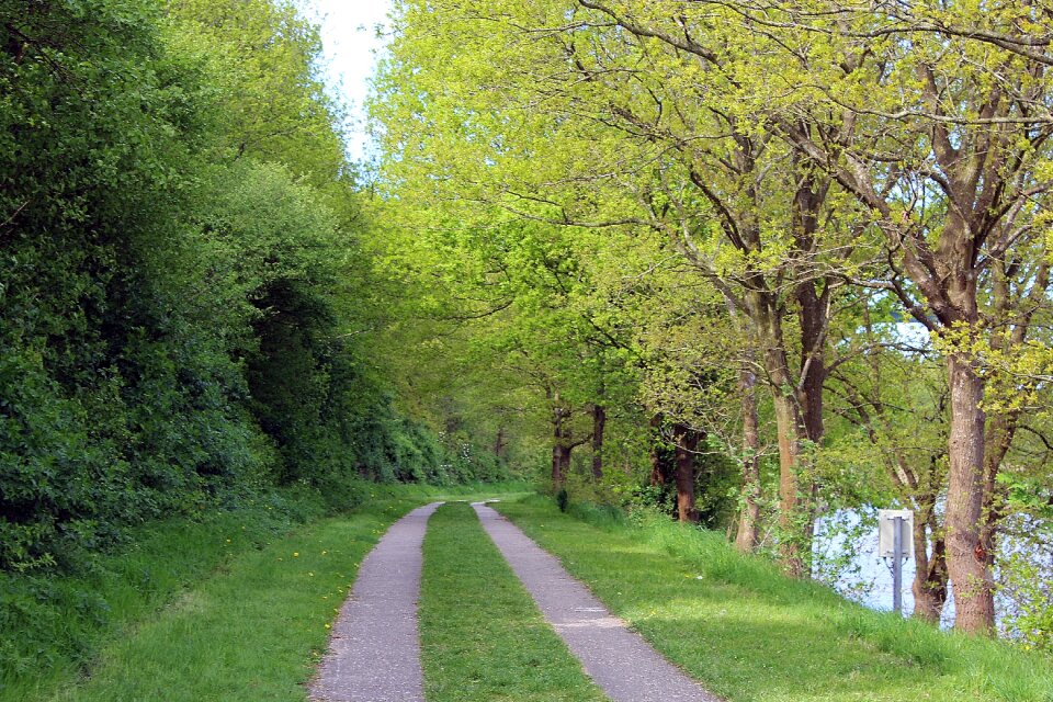 Away nature recovery