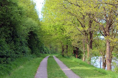 Away nature recovery