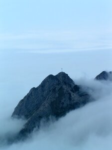 Top view reverie