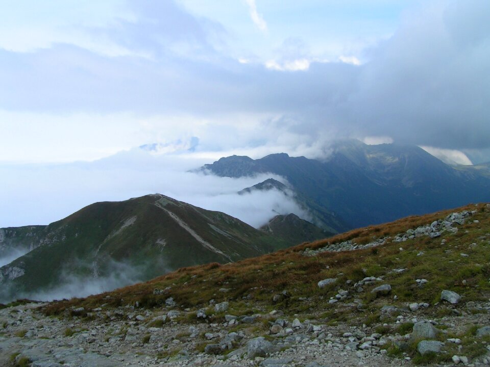 Trail view the fog