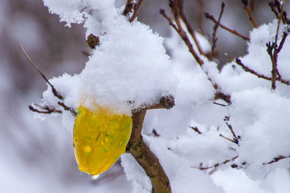 Decoration colorful eggs snow