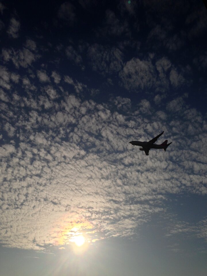 Airline airport blue