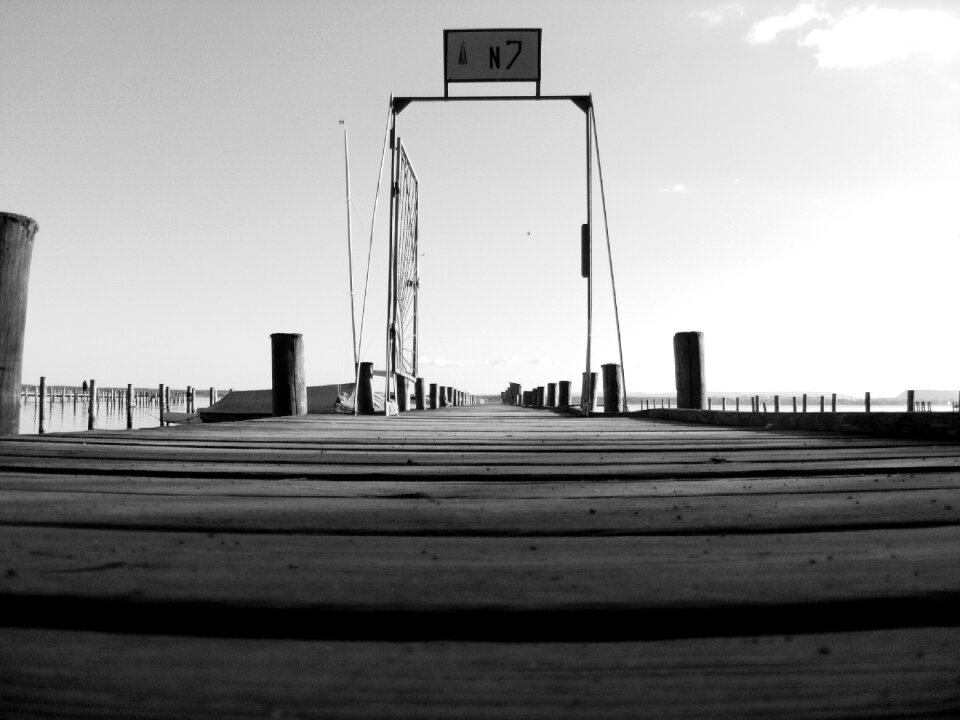 Bridge shield black and white