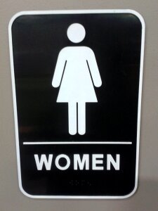 Female gray bathroom