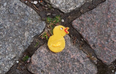 Chicks sweetness lost