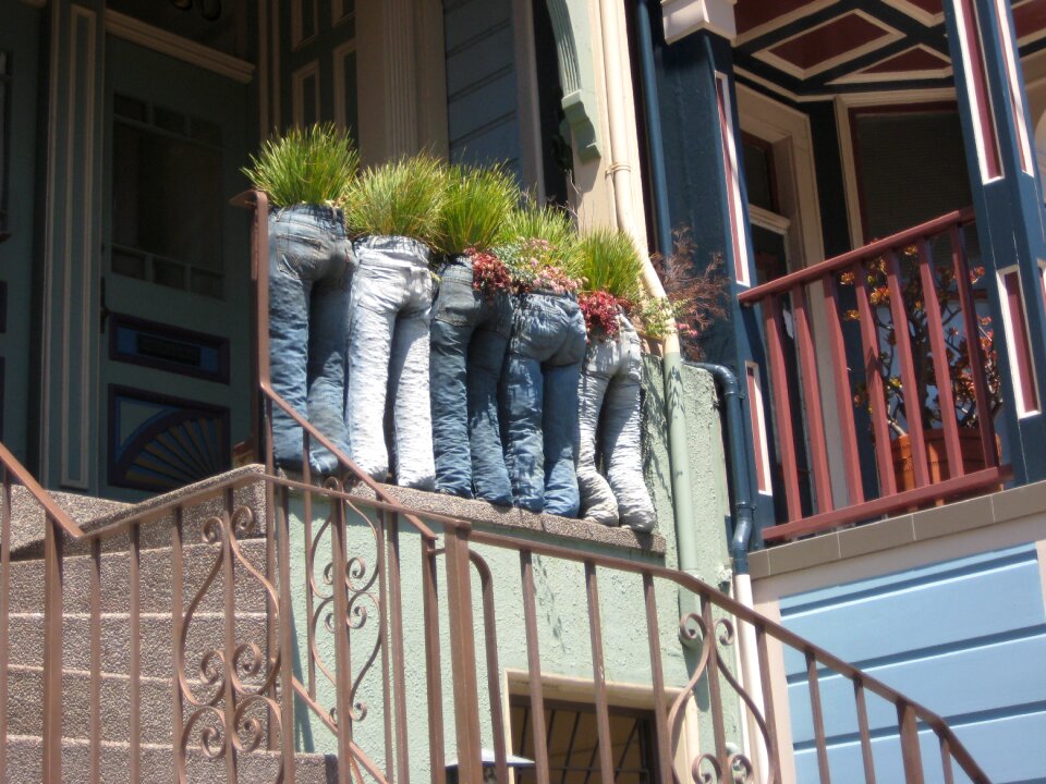 Plant fun altan