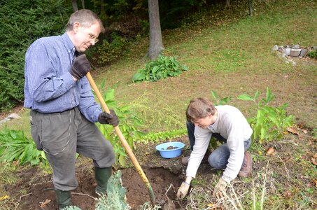 Garden gardening