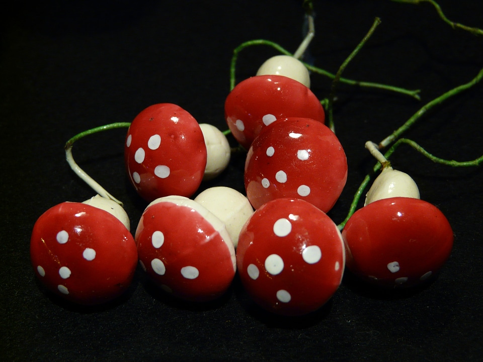 Christmas advent decoration