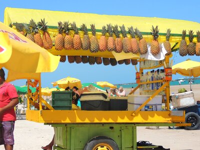 Sale on wheels pineapple