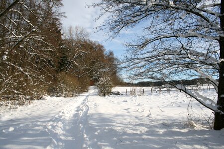 Wintry snow white