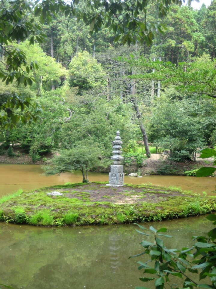 Have japan natural