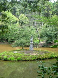 Have japan natural