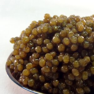 Caviar bestcaviar photo