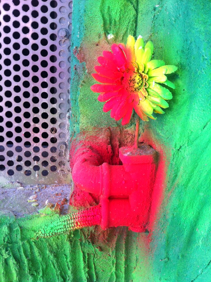 Flower color hall