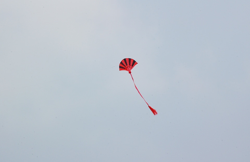 Flying a kite child's toy soar