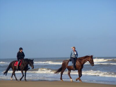 Beach ride riders spring