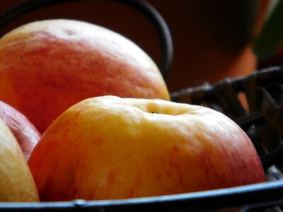 Healthy summer red apple
