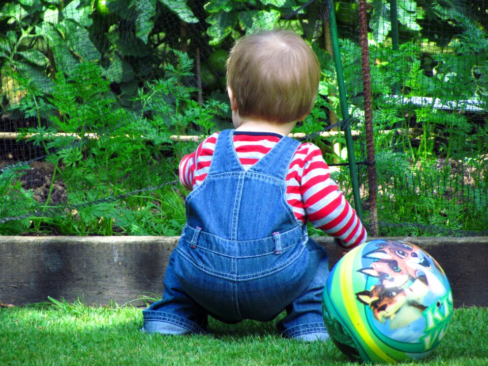 Football ball summer